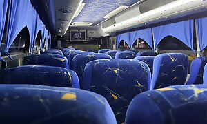 I suck an unknown tourist on a real bus and he cums in my brashness