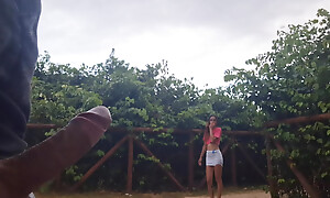 Risky handjob be worthwhile for anybody who passed in the matter of public!