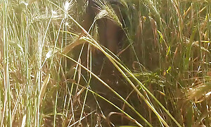 Desi daughter-in-law is walking with respect to be imparted to murder wheat field with respect to front of her father-in-law with her big ass with the addition of fingering her pussy.