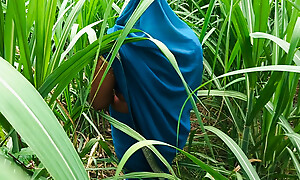 Desi bhabhi ki chudai brashness and gand in sugarcane field in Indian porn pellicle